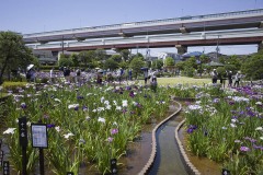 首都高を借景 園内の水路