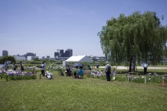 堀切水辺公園 柳とテント