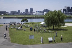 堀切水辺公園 荒川土手からの俯瞰