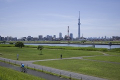 荒川と東京スカイツリー