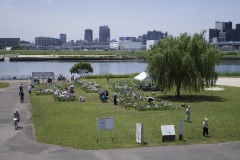 堀切水辺公園