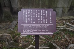 「おがたまの木」案内板