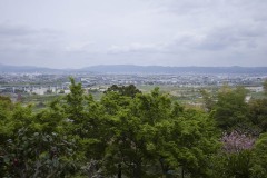 男山展望台からの眺め