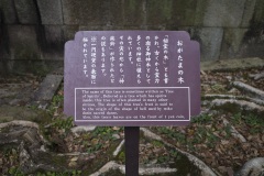「おがたまの木」案内板