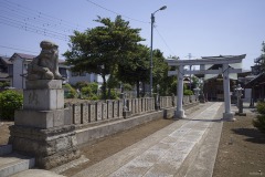 鎌ケ谷八幡神社 参道