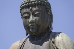 鎌ケ谷大仏 尊顔