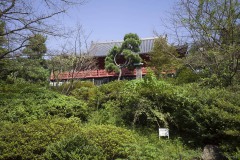 清水観音堂 木立ごしの舞台