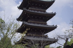 旧東叡山寛永寺五重塔