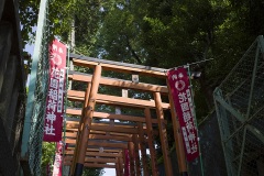 花園稲荷神社 鳥居