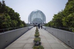 遊歩道の先のガラスドーム
