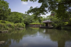 柏の葉公園 日本庭園の池と四阿
