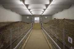 貝層断面観覧施設 通路と両側の貝層