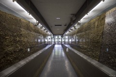 貝層断面観覧施設 展示通路