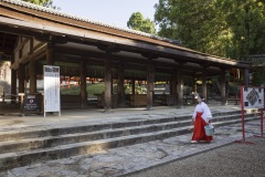 春日大社 幣殿