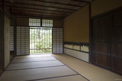 笑意軒 障子ごしの木々
