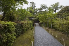 庭園