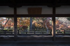 紅葉山庭園