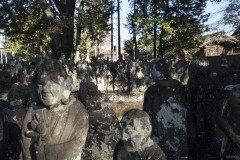木陰の五百羅漢