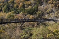 鬼怒楯岩大吊橋