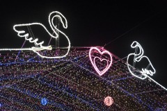 白鳥のイルミネーション