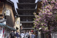 八坂の塔 八坂通からの眺め