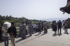 清水寺 本堂 檜舞台