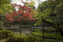平安神宮 神苑