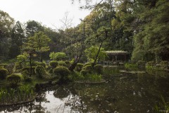 平安神宮 神苑 苔の島と水面