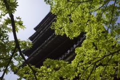 八坂の塔