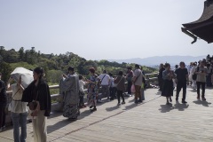 清水寺 本堂 檜舞台