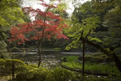 平安神宮 神苑