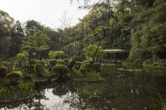 平安神宮 神苑