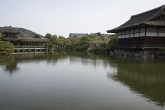 平安神宮 神苑