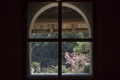 半円アーチ窓 桜の見える窓