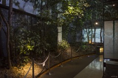 総合展示 森を再現した展示