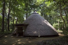 松戸市立博物館 縄文時代の復元住居