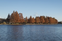 埼玉県営みさと公園