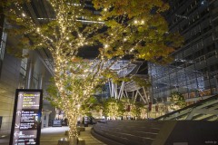 東京ミッドタウン 建物脇のイルミネーション