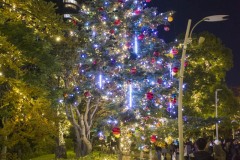 東京ミッドタウン EMOTION PALETTE TREE ビルを背にした全景