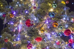 EMOTION PALETTE TREE