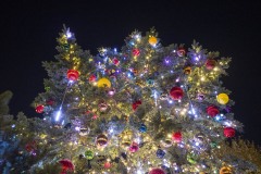 EMOTION PALETTE TREE