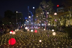 CHRISTMAS GARDEN LIGHTS