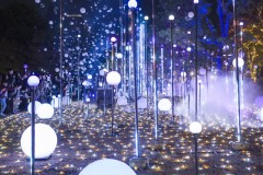 CHRISTMAS GARDEN LIGHTS