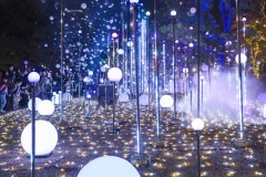 CHRISTMAS GARDEN LIGHTS
