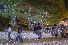 東京ミッドタウン イルミネーション 光の中を歩く人