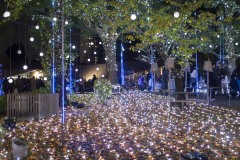 東京ミッドタウン CHRISTMAS GARDEN LIGHTS 吊り下がる白い球