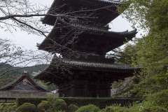 三重塔／唐院