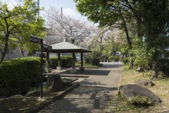 東屋