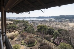 三階からの眺め