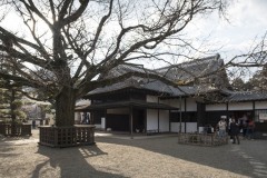弘道館 大杉と正庁